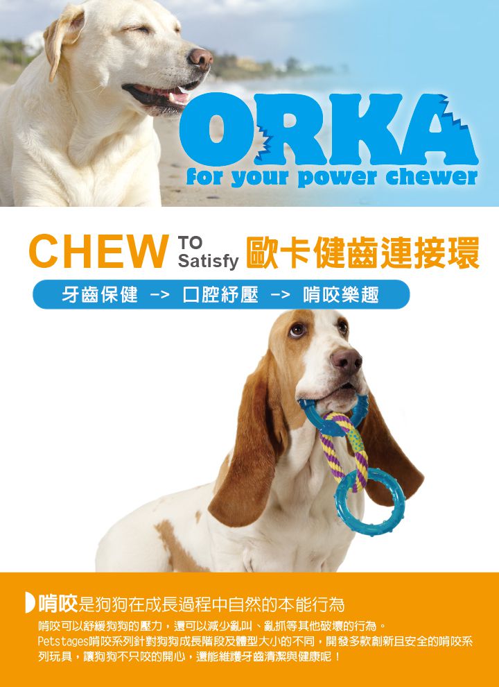 Chew-239ORKA健齒連接環_主視覺_03