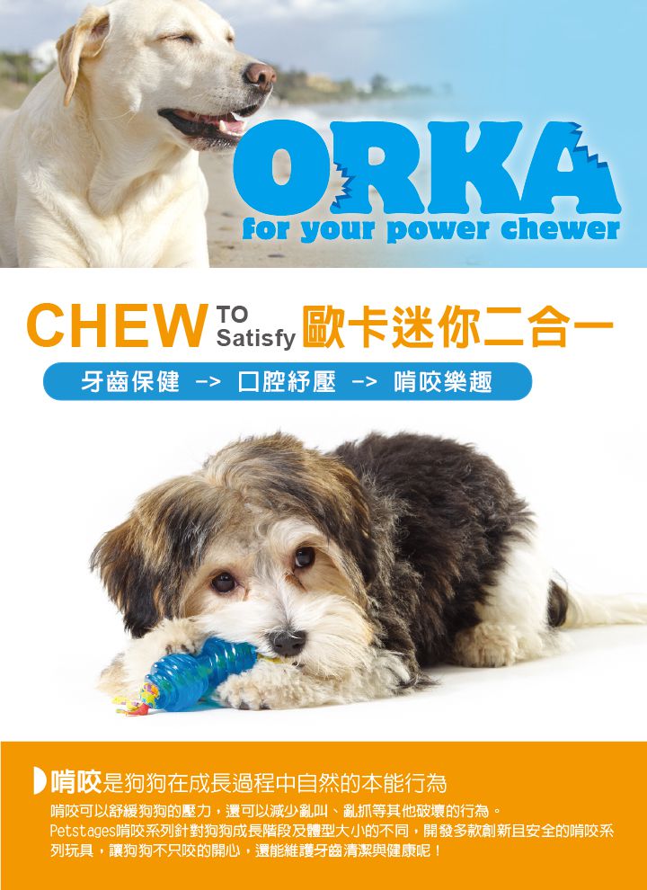 Chew-ORKA迷你2合1_主視覺_03