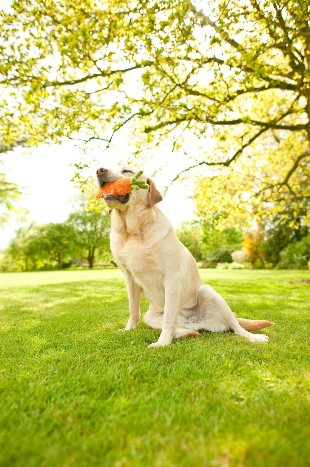 4342c90908f5f399c6dc7ae2f77063cb-max-w-1024