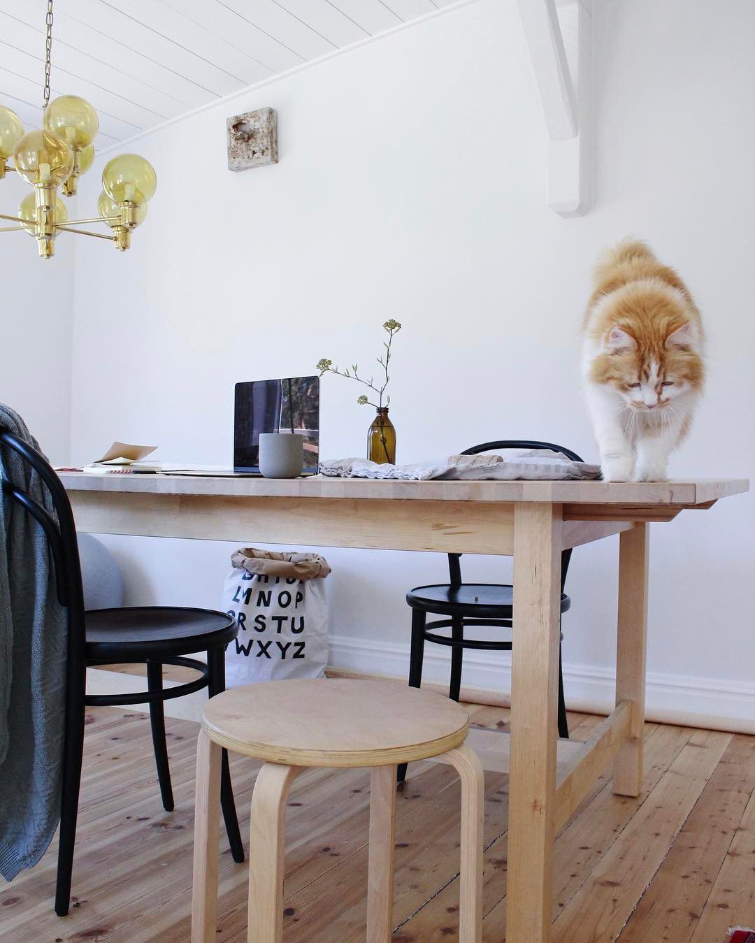 Tellkiddo 瑞典可愛圖案牛皮紙收納袋 ABC2