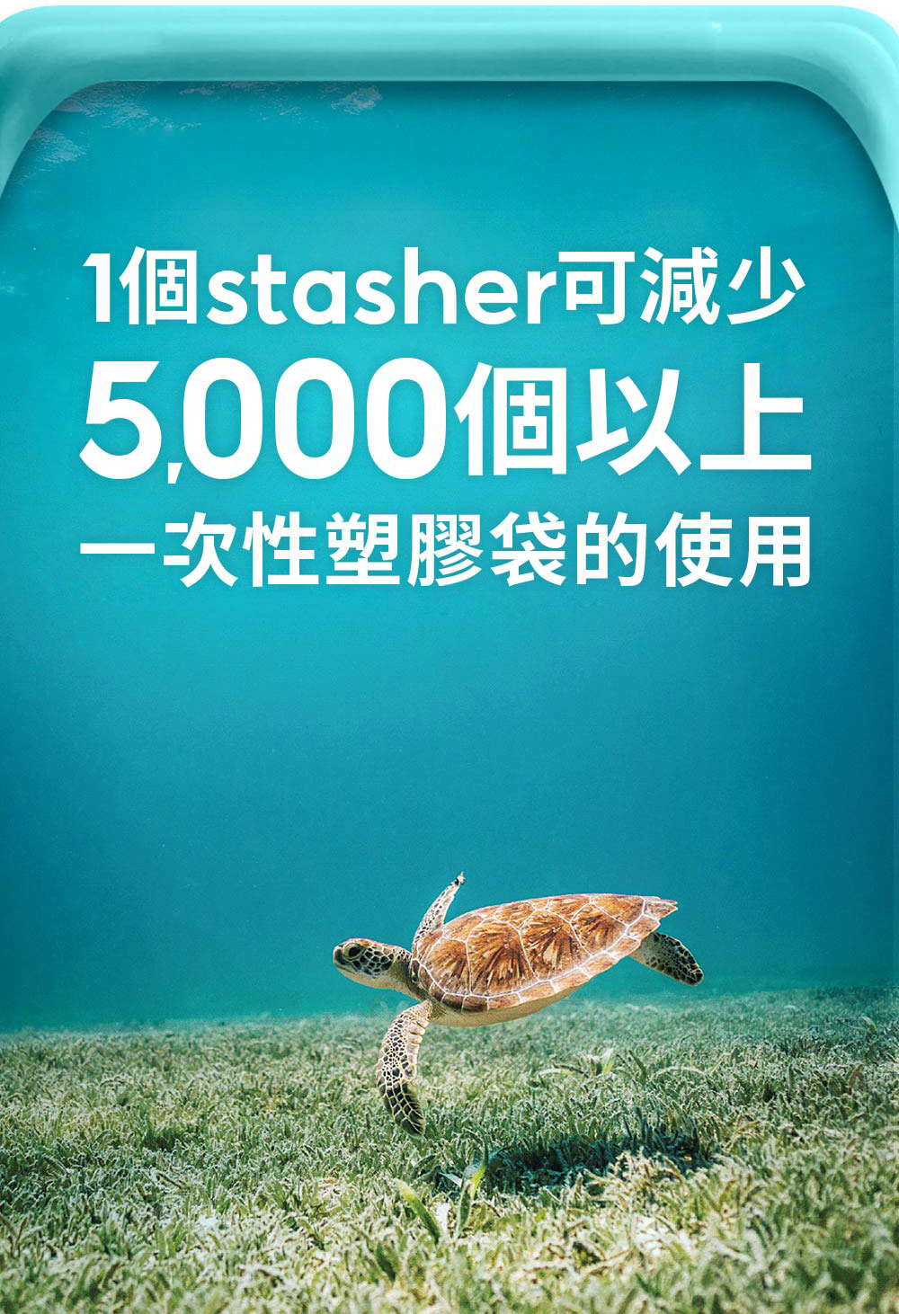 美國 Stasher 方形矽膠密封袋