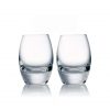 歐洲 ROGASKA 水晶玻璃 EXPERT 行家品味 伏特加杯 2支裝