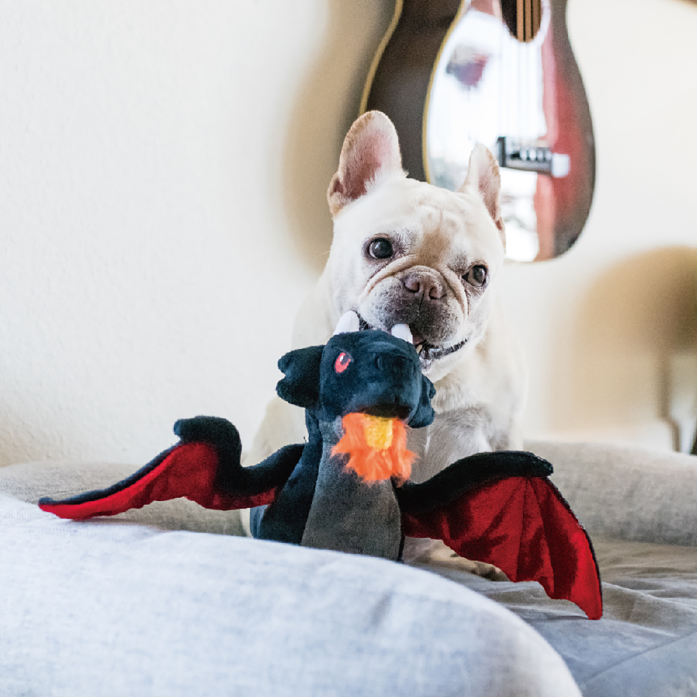 PLAY傳說怪獸 (1) 美國 P.L.A.Y. 玩具系列 傳說怪獸 達比龍