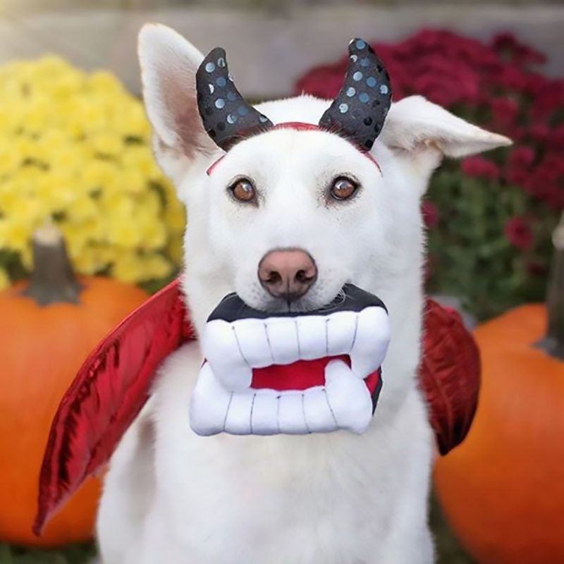 美國 P.L.A.Y. 玩具系列 萬聖節嚎叫 殭屍犬尖牙