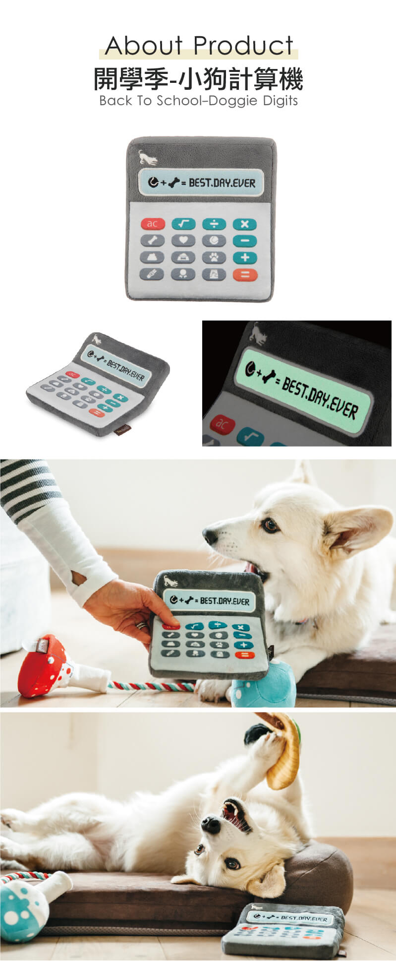 美國 P.L.A.Y. 玩具系列 開學季 小狗計算機