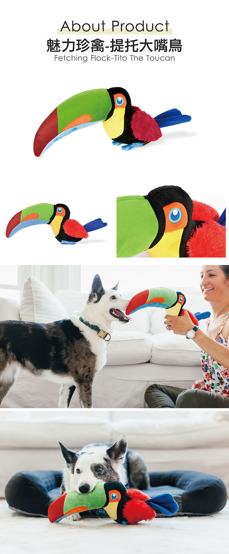 美國 P.L.A.Y. 玩具系列 魅力珍禽 提托大嘴鳥