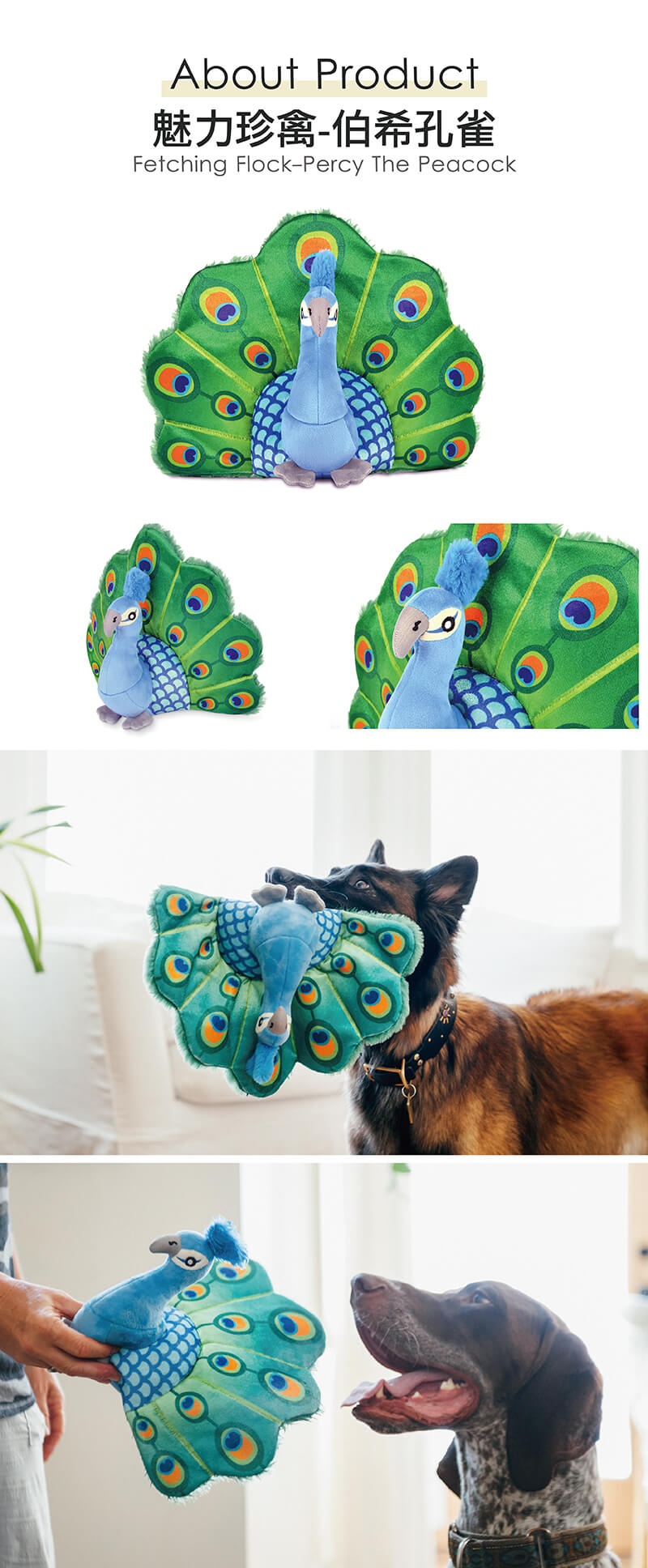 美國 P.L.A.Y. 玩具系列 魅力珍禽 伯希孔雀