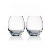 歐洲 ROGASKA 水晶玻璃 EXPERT 行家品味 威士忌杯 2支裝