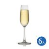 Ocean 麥德遜香檳杯 210ml (6入)
