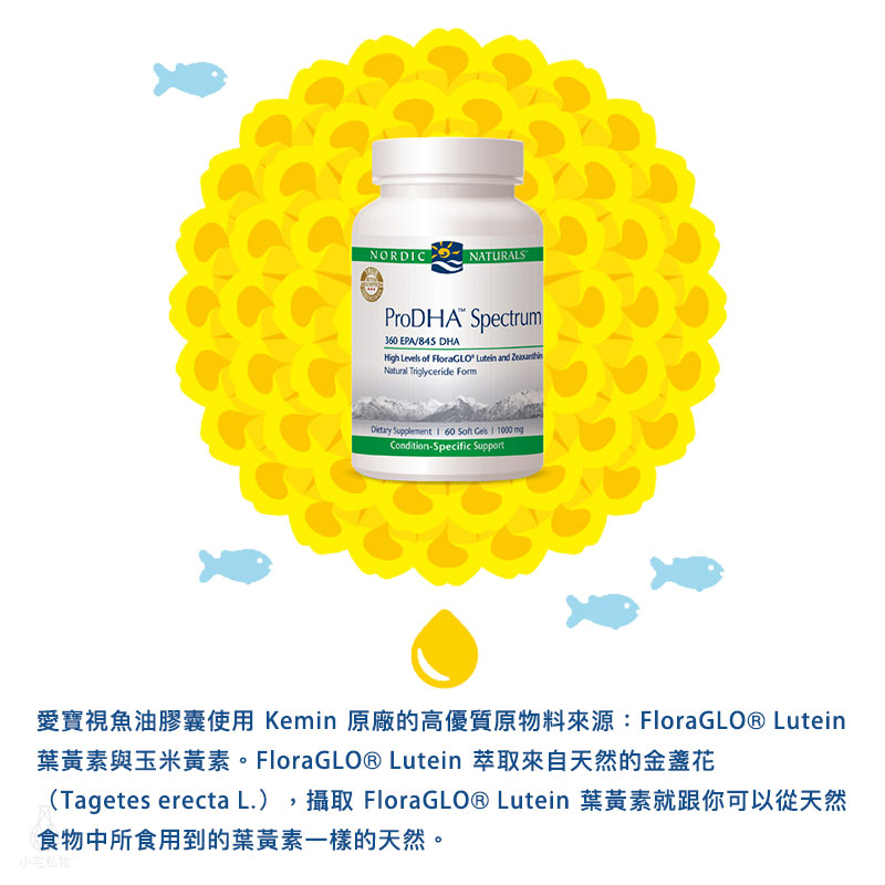 【雷射防偽】Nordic Naturals 北歐天然 愛寶視魚油膠囊 (檸檬風味) (ProDHA Specturm) 60顆