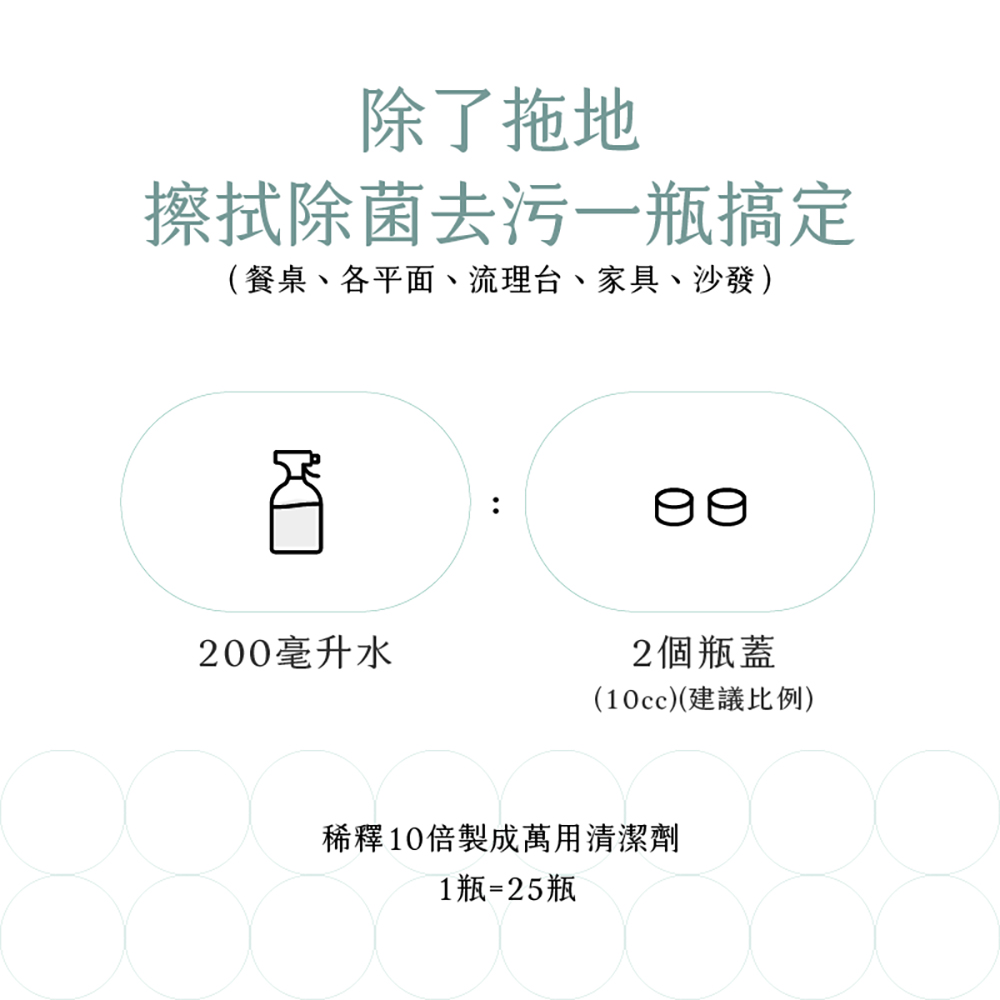 台灣 EASE 簡易淨 地板清潔液 閃亮地板精華液 2L