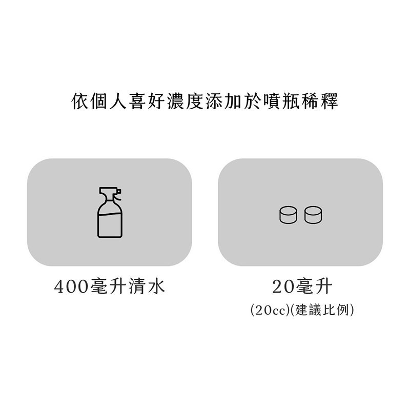 台灣 EASE 簡易淨 細緻噴霧 分裝噴瓶 500ml 