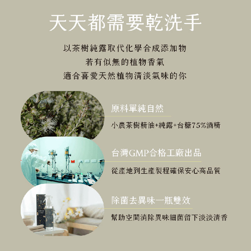 台灣 EASE 簡易淨 植萃潔淨乾洗手 200ml