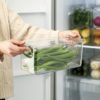 日本霜山 冰箱蔬果生鮮收納盒 (附蓋) 3入