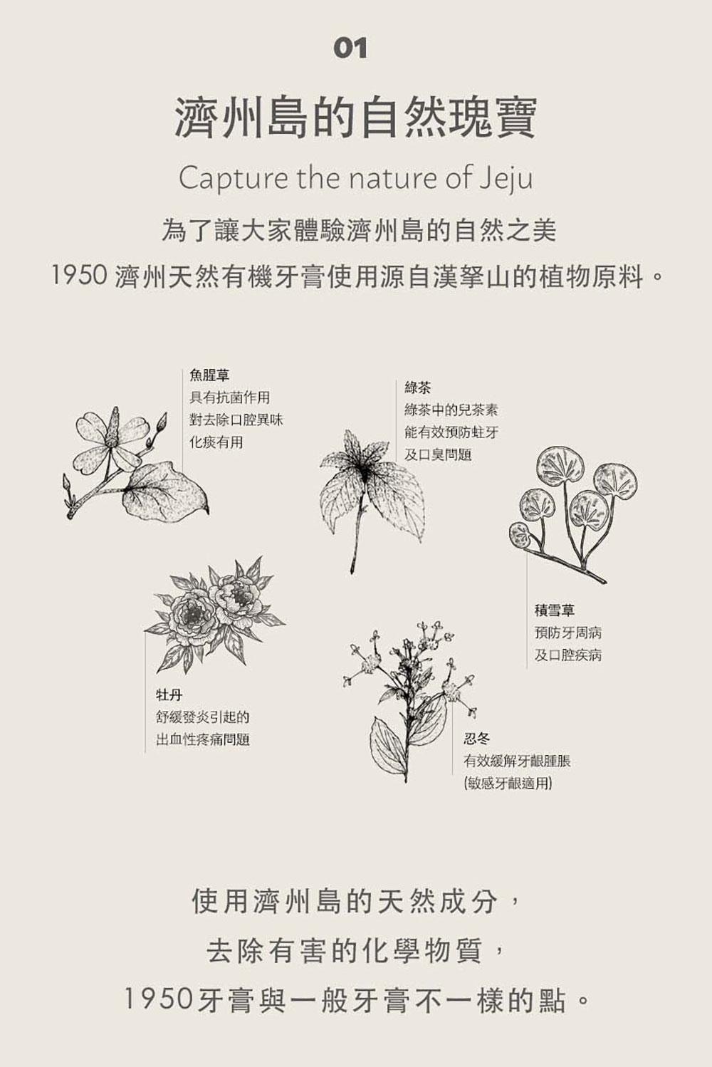 韓國 1950 濟州天然無氟有機牙膏