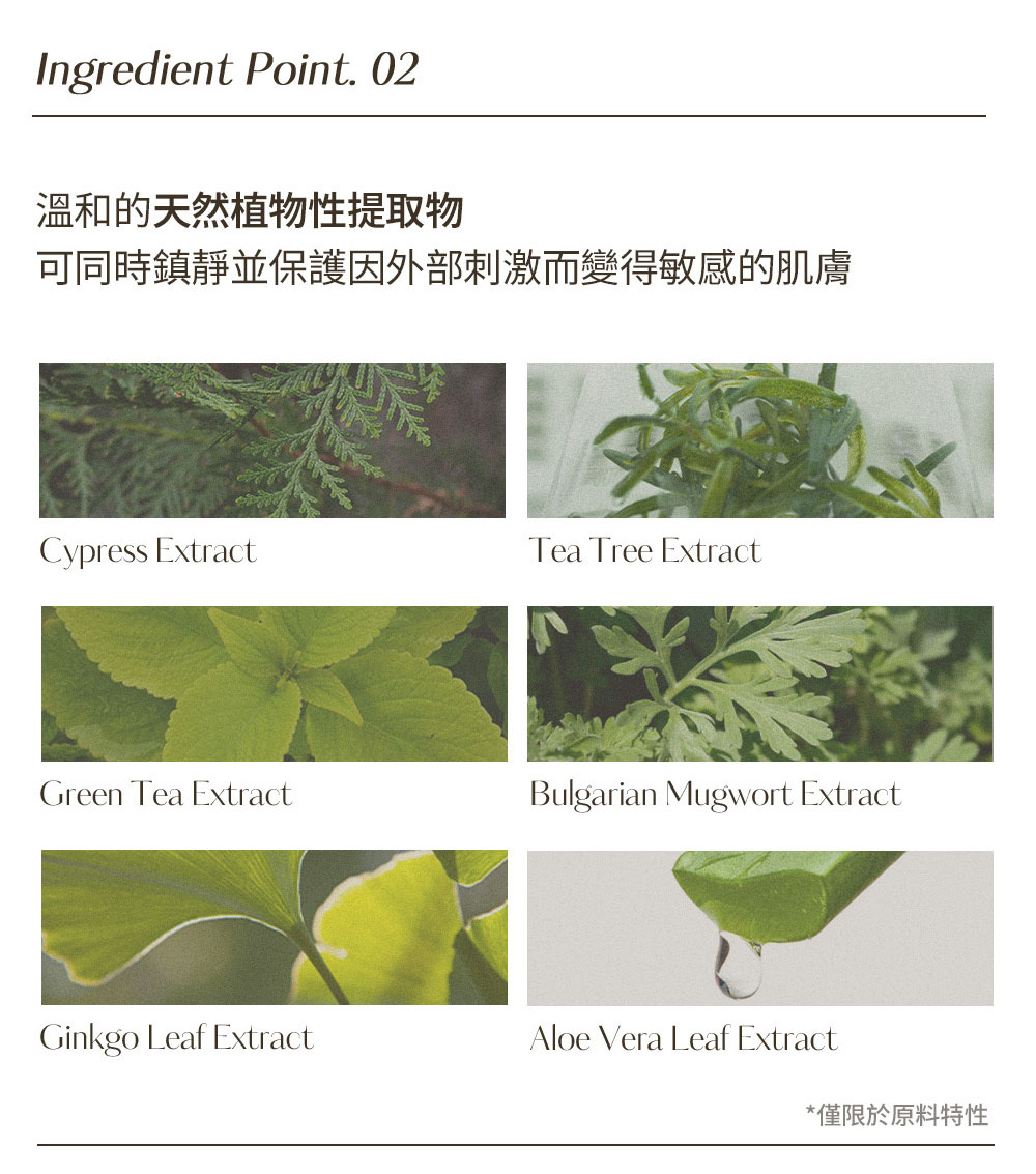 韓國 Hetras 泡沫香氛洗手液 515ml 