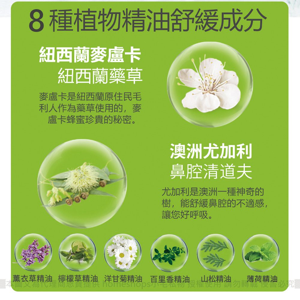 紐西蘭 BEGGI 精油通鼻貼 (兒童款) 16片