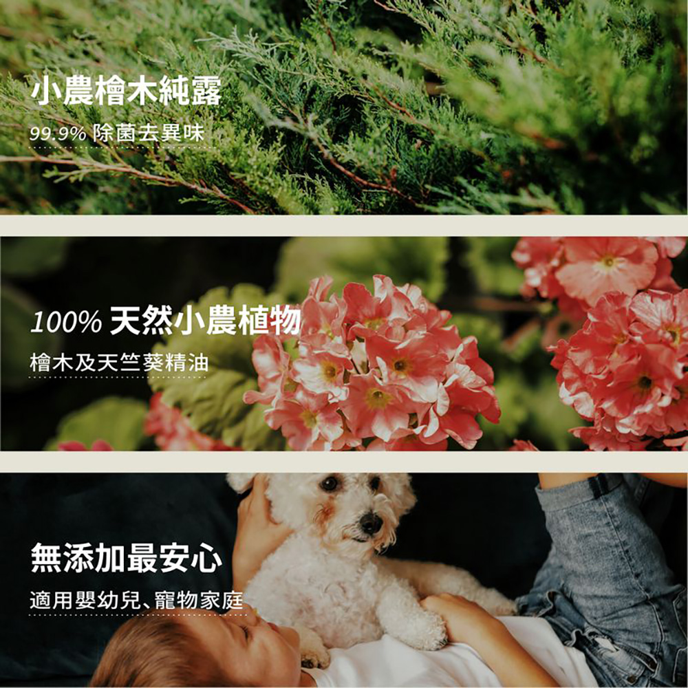 台灣 EASE 簡易淨 地板清潔劑 檜木地板精華液 500ml