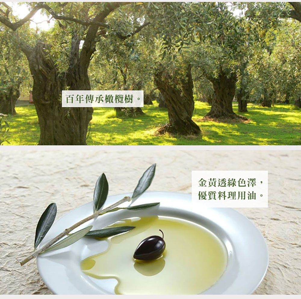 Syllogi 斯洛奇 冷壓初榨橄欖油 750ml