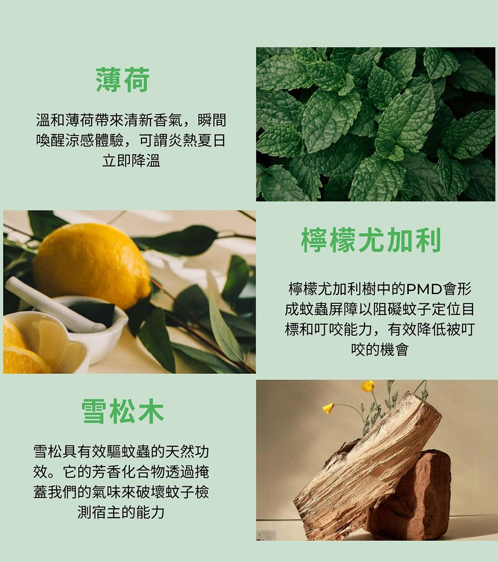The Superbloc Bloc & Chill 涼感防蚊噴霧 80ml