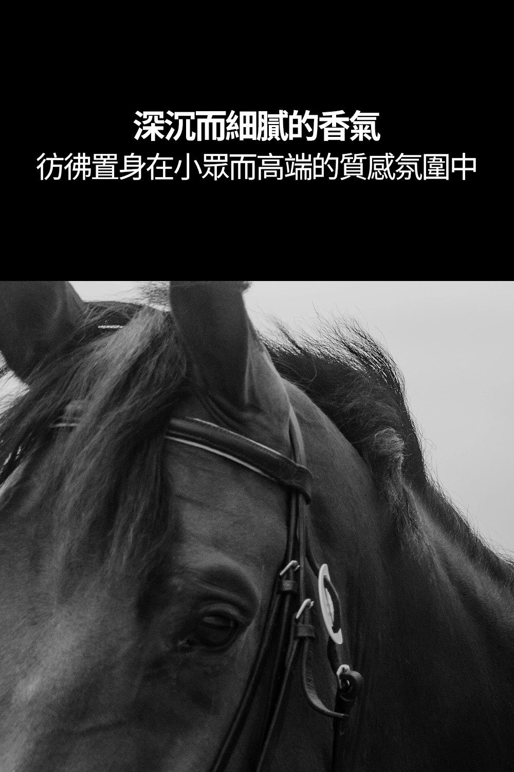 韓國 Hetras 典藏調香師擴香 600ml