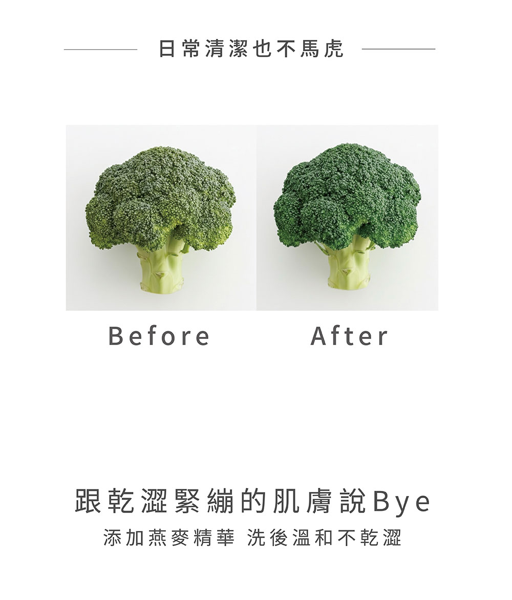 Vogito 好日照 Qube 奶嘴殺菌盒
