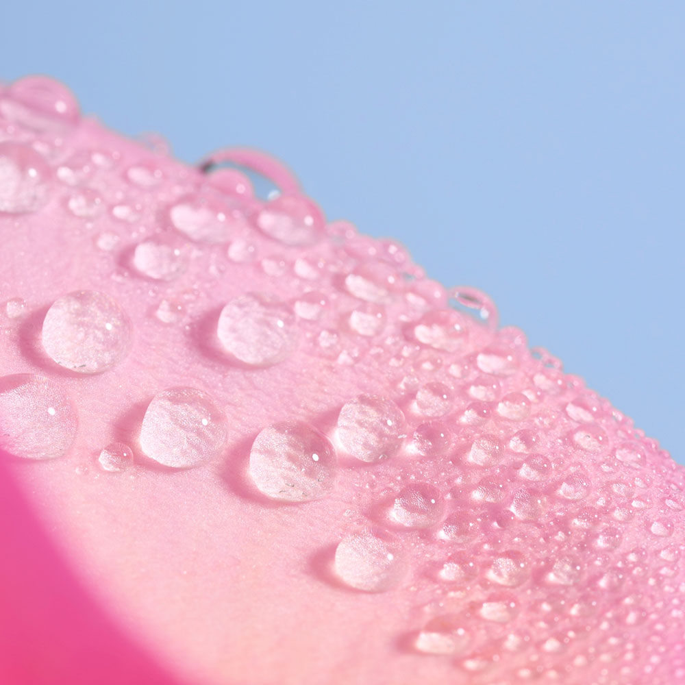 RoseFloral_04