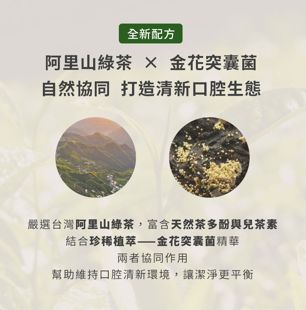 White Wings 白色翅膀 綠茶兒茶素潔牙液 100ml