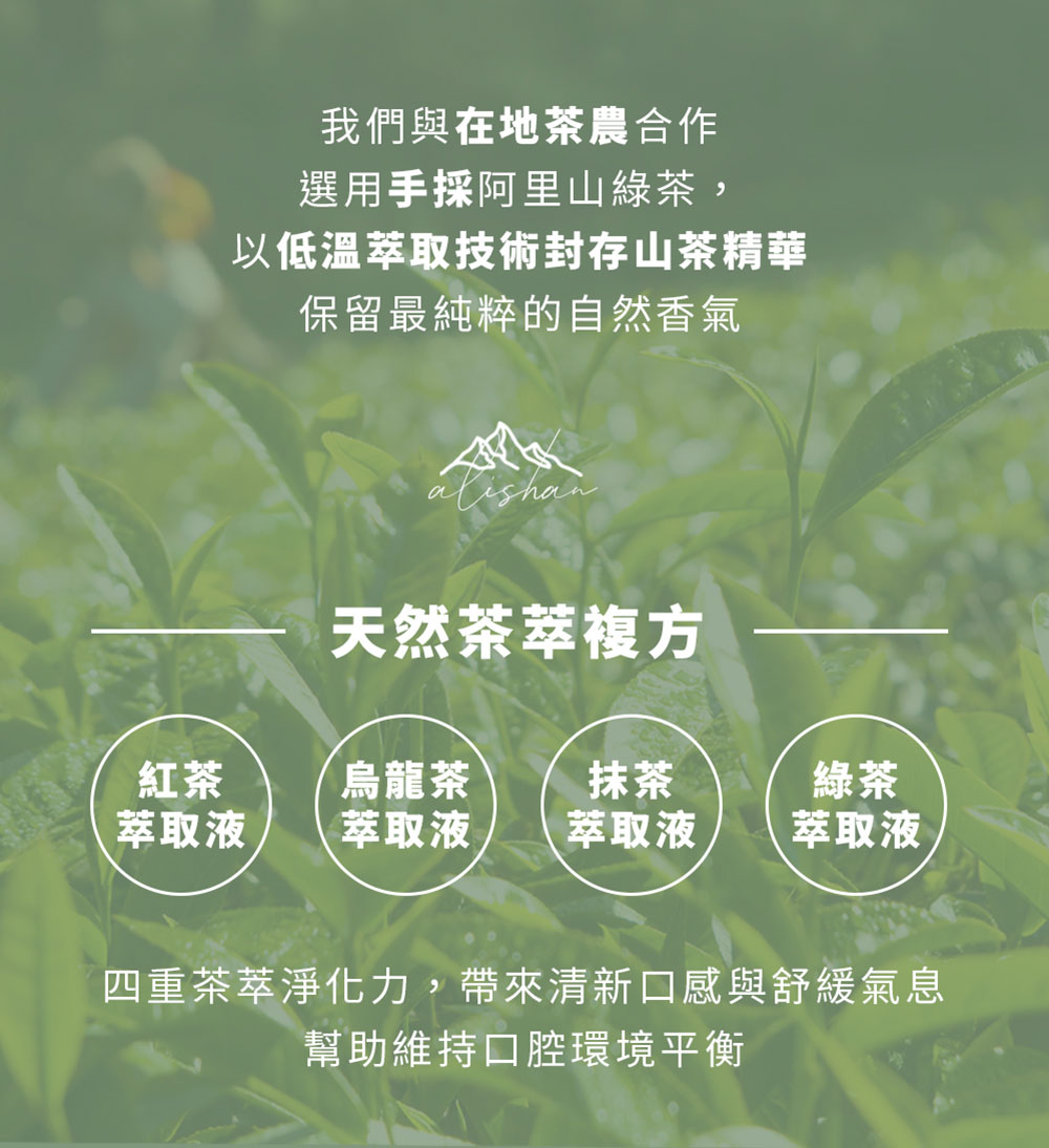 White Wings 白色翅膀 綠茶兒茶素潔牙液 100ml