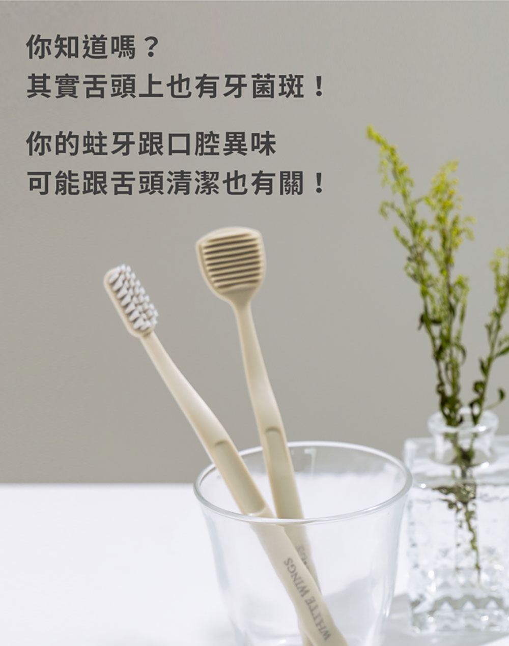 White Wings 白色翅膀 美型牙刷＋舌苔刷 